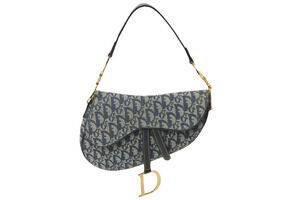 Christian Dior Handbag Saddle Bag Trotter canvas